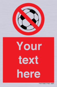 Custom No Ball Games Sign